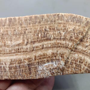 Braune Aragonit Scheibe: Natürlicher Pearuven Kristall (381.00ct 75x55x6mm)
