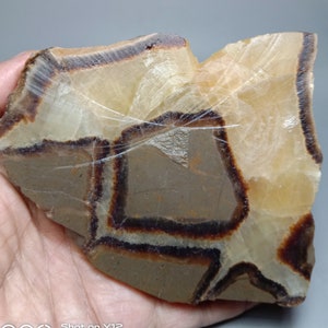 Septarian - Yellow Calcite Slab - Lapidary Rough Slab Specimen -Natural Septarian Fossil HUGE Collector Stone Slab  2000.00ct. 120x105x15mm