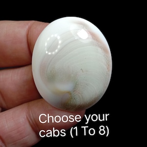 Cabochão de olho de Shiva: pedra preciosa polida com concha de opérculo natural para fabricação de joias
