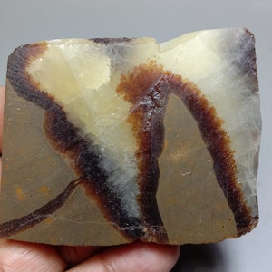 Septarian - Yellow Calcite Slab - Lapidary Rough Slab Specimen -Natural Septarian Fossil Collector Stone Slab  441.00ct. 72x57x8mm