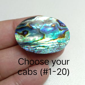 Naturlig Abalone Cabochon (#1 till 20) – Polerade australiska snäckskal för smyckestillverkning med trådlindning