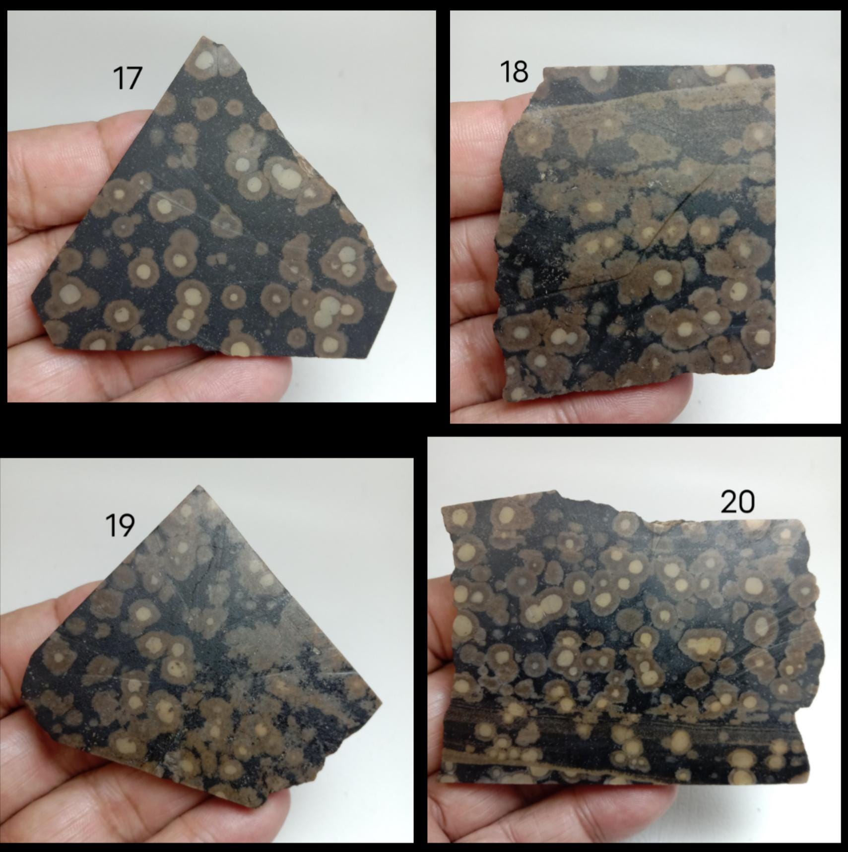 Variotite Tph Natural Scapolite Mica Slab (#1–40) – Variolite Jasper, Oolitic Pattern ...
