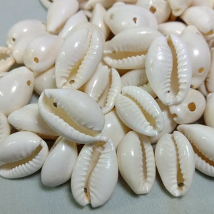 Cowrie Shell - Best Quality Natural Seashell loose with One Hole Two Holes - Bulk shell Cowrie Shell loose for jewelry & Craft 16 TO 22mm