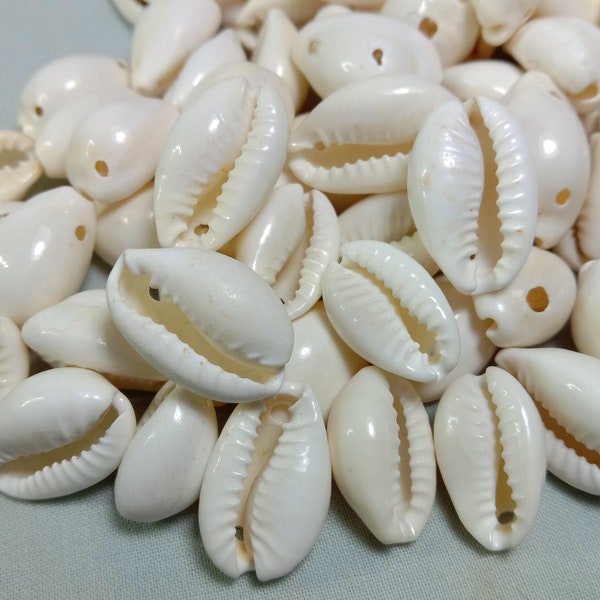 Cowrie Shell - Best Quality Natural Seashell loose with One Hole Two Holes - Bulk shell Cowrie Shell loose for jewelry & Craft 16 TO 22mm