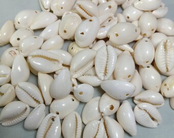 Bead, cowrie shell (natural), 15x7mm-25x12mm double-drilled, Mohs hardness  3-1/2. Sold per 130-gram pkg. - Fire Mountain Gems and Beads