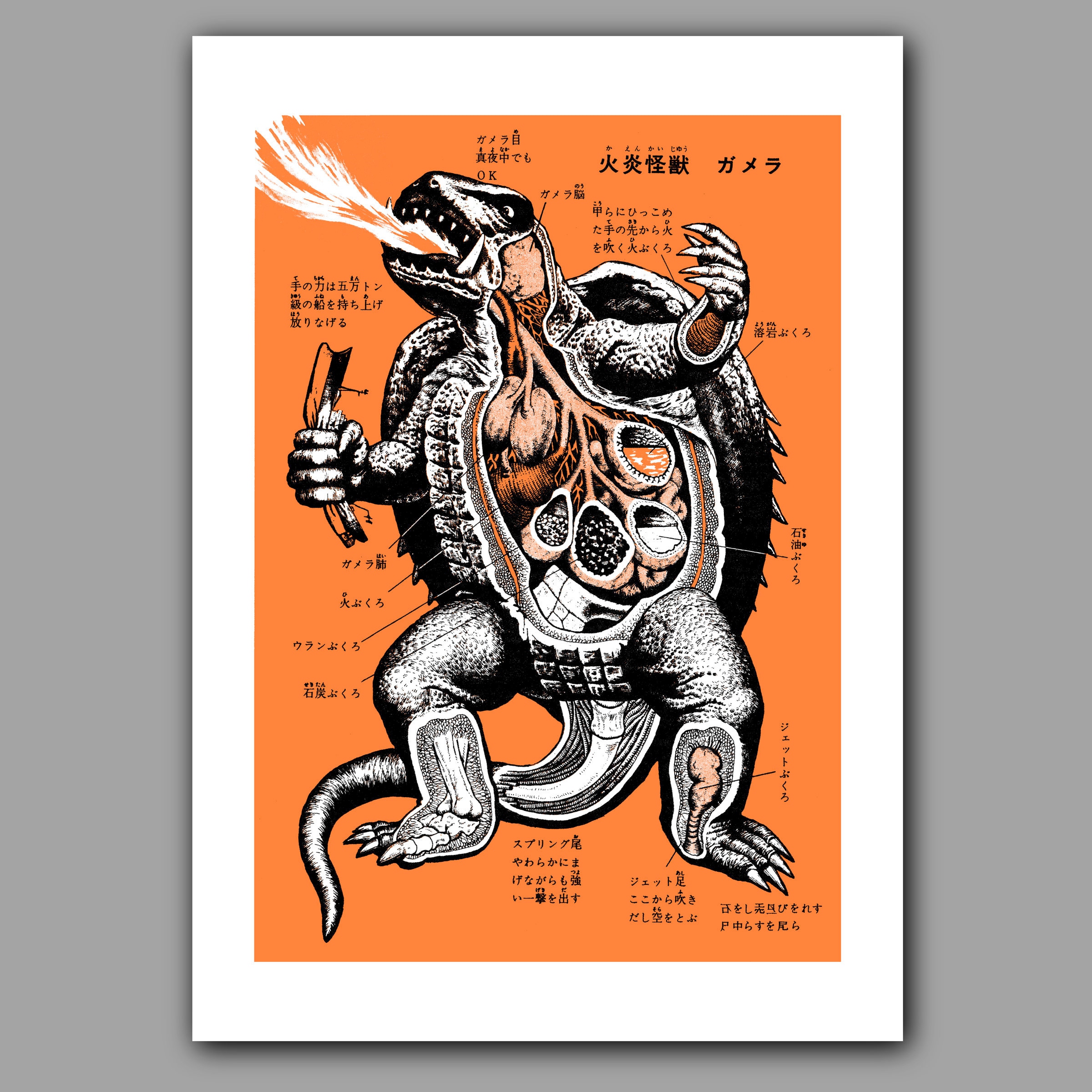 KAIJU : GAMERA ANATOMY Large Screenprint Orange Poster (A2) - Etsy