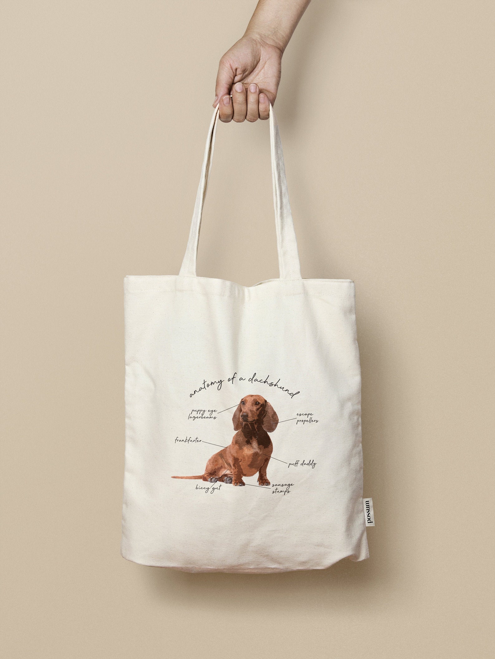 32+ Unique Dachshund Gift Ideas You Need To See