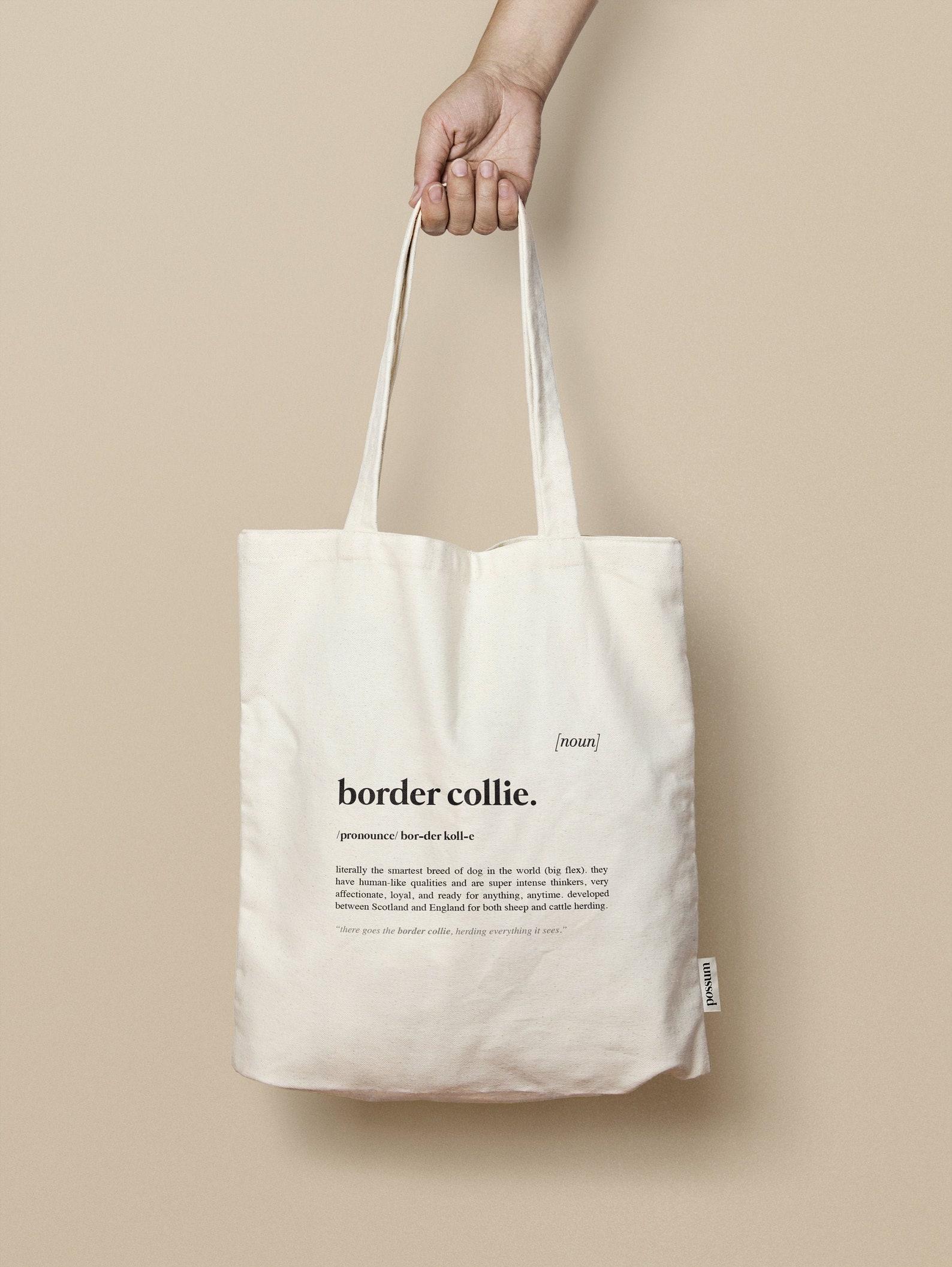 12 Unique Border Collie Gift Ideas