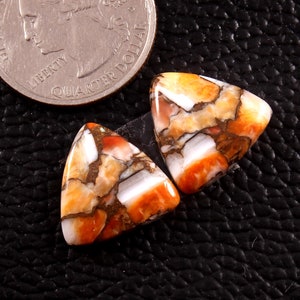 Oyster turquoise pair oyster Cabochon Gemstone mohave oyster Gemstone jewellery making Size - 16x16mmm - 16.70 Carat