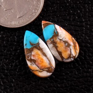 Spiny Oyster turquoise pair  oyster Cabochon  oyster gemstone mohave oyster Size - 20x10mm - 11.80 Carat