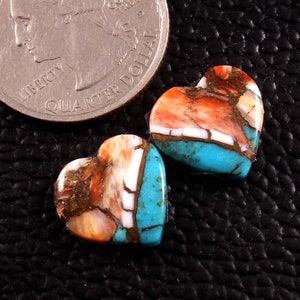 spiny oyster turquoise pair oyster Cabochon Gemstone mohave oyster Gemstone jewellery making Size - 13x14mm - 9.90 Carat