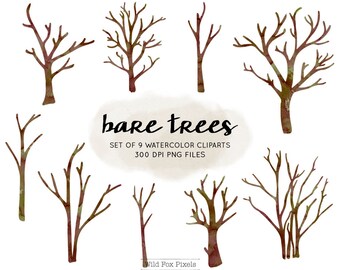 Bare Trees Etsy