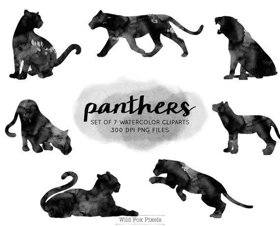 Panther Watercolor Clipart Watercolor Panther Clipart Etsy