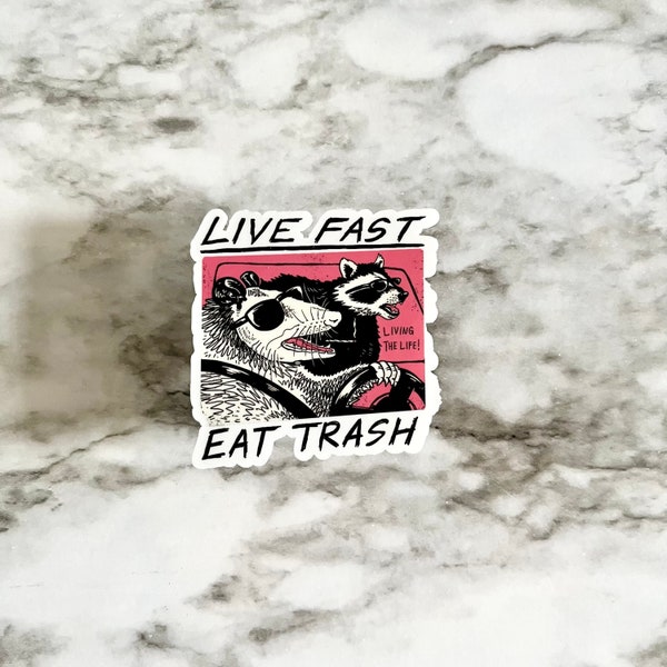 Live Fast Eat Trash • Raccoon Stickers• Snarky Stickers • Funny Stickers • Possum Sticker