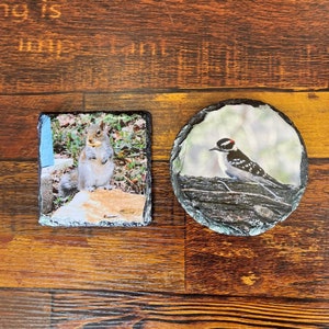 May include: Two slate coasters with images printed on them. The first coaster features a gray squirrel sitting on a branch. The second coaster features a black and white woodpecker perched on a branch.