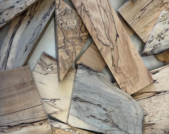 Spalted Wood Scraps for crafts