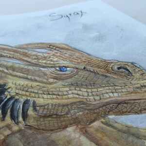 May include: Watercolor painting of a dragon's head in profile. The dragon has a textured, brown and tan hide, with a blue eye. The dragon's head is angled to the right, with the word "Syrat" written above.