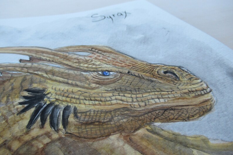 May include: Watercolor painting of a dragon's head in profile. The dragon has a textured, brown and tan hide, with a blue eye. The dragon's head is angled to the right, with the word "Syrat" written above.