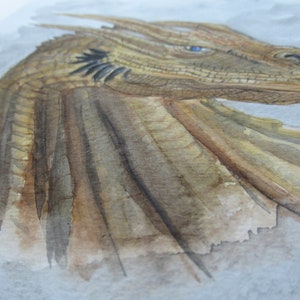 May include: Watercolor painting of a dragon's head and neck, rendered in shades of brown, tan, and gold. The dragon has a frill, blue eyes, and a detailed, textured appearance. The artwork is set against a soft, light gray background.