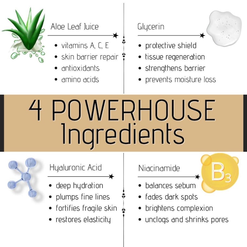 May include: An infographic titled 4 POWERHOUSE Ingredients listing Aloe Leaf Juice, Glycerin, Hyaluronic Acid, and Niacinamide. Each section details benefits like vitamins, skin barrier repair, hydration, and sebum balancing with icons.