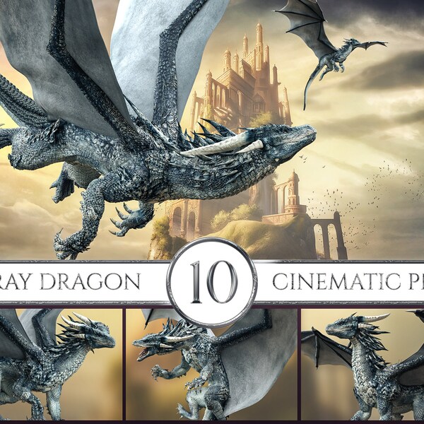 10 Cinematic Gray Dragon Overlays, Dragon Clipart, Dragon Overlays, Dragon Stock Images, PNG Overlays, Fantasy Creatures, Photoshop Overlays