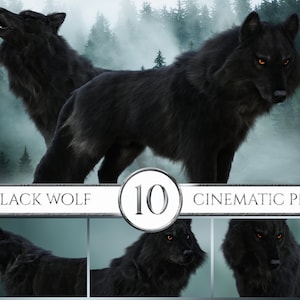 10 Cinematic Realistic Black Wolf Overlays, Wolf Overlays, Realistic Wolf Overlays, Wolf Clipart, Animal Overlays, Photoshop Overlays