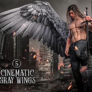 5 Cinematic Gray Wings Overlays for Digital Art and Book Covers, Photoshop Overlays, Wing Clipart, Angel Wing PNGs, PNG Overlays