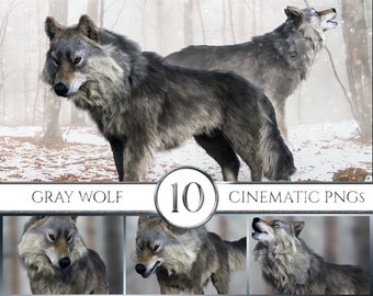 10 Cinematic Realistic Gray Wolf Overlays, Wolf Overlays, Realistic Wolf Overlays, Wolf Clipart, Animal Overlays, Photoshop Overlays