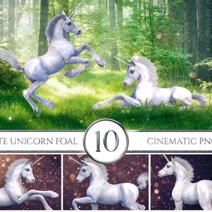 10 Cinematic White Unicorn Foal Overlays, Baby Unicorn Overlays, Foal Overlays, Baby Unicorn Clipart, Fantasy Creatures, Photoshop Overlays