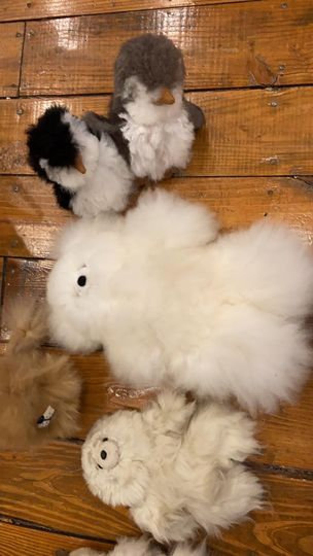 Alpaca Wool Stuffed Animals Plush Toys Plushies Decor Bear Etsy