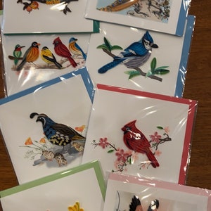 May include: A collection of eight square greeting cards featuring intricate paper quilling designs of various birds, including an owl, a peacock, a blue jay, a cardinal, a hummingbird, a flamingo, and other songbirds, each individually wrapped in clear plastic.