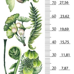 May include: Watercolor illustration of various green ferns and leaves, including ginkgo and fern fronds. A ruler with inch and centimeter measurements is on the right side. The image is on a white background.