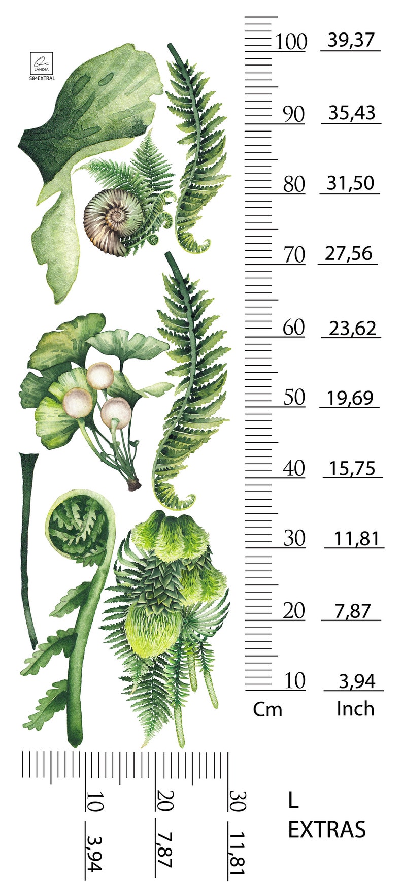 May include: Watercolor illustration of various green ferns and leaves, including ginkgo and fern fronds. A ruler with inch and centimeter measurements is on the right side. The image is on a white background.