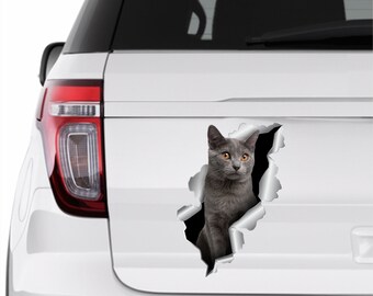 Sticker Voiture Chat Etsy