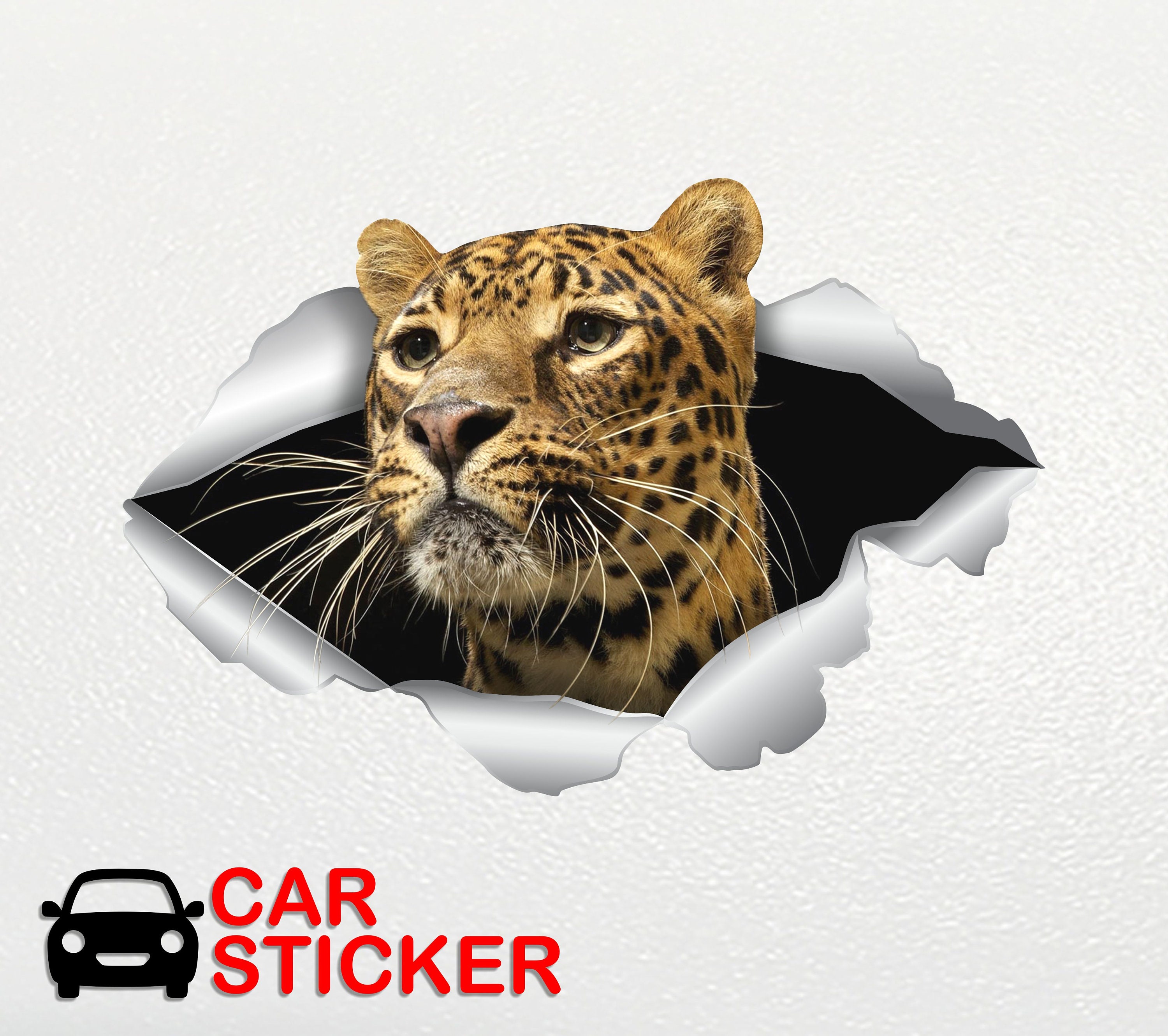 Leopard Stickers Leopard Car Sticker Leopard Car Decal Leopard Stickers ...