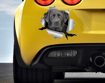 Black labrador decal Labrador sticker Car sticker labrador Labrador car sticker Funny decal Labrador stickers Labrador auto sticker 313