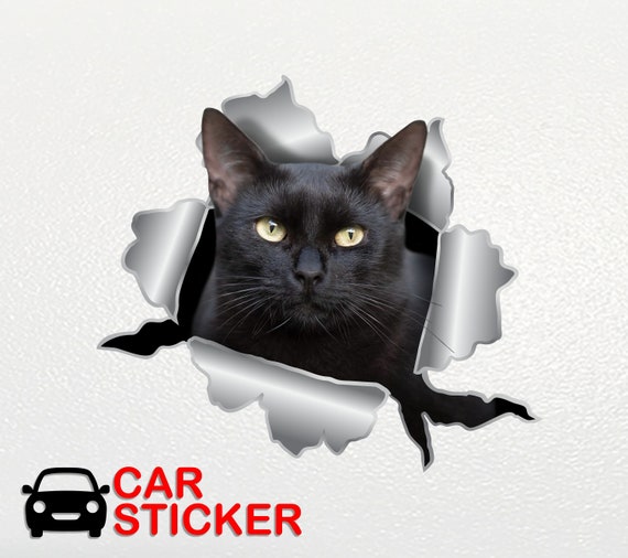 4 Adesivi Per Auto Tell Your Cat I Said Psps - Decalcomanie In Vinile Con Gatti, Impermeabili 19x5,7cm - Regalo Per Amanti Dei Gatti