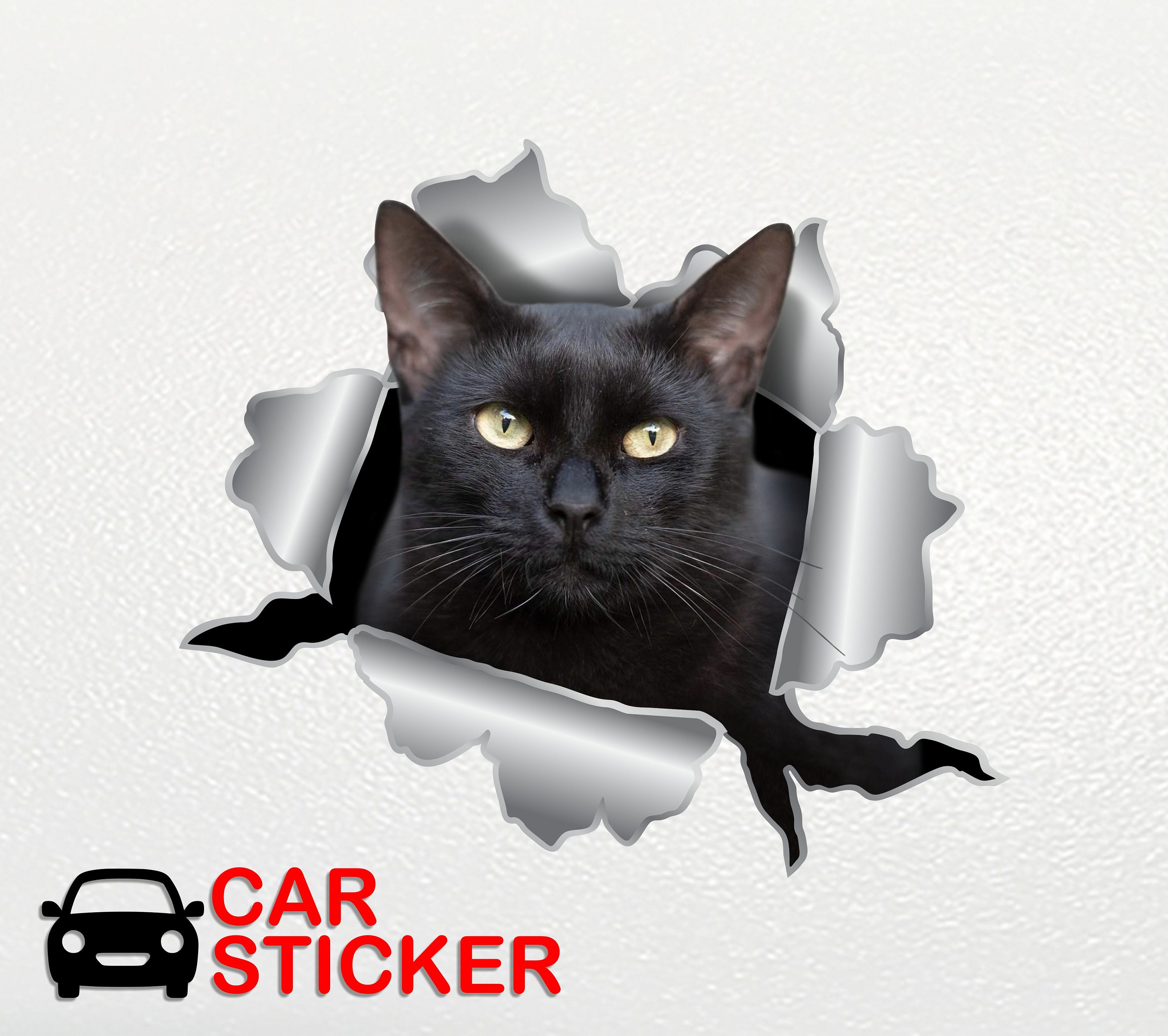 Autocollants Chat Pour Voiture - 2 Pièces - PVC Résistant - Décor Pare-chocs, Vitres Ou Capot