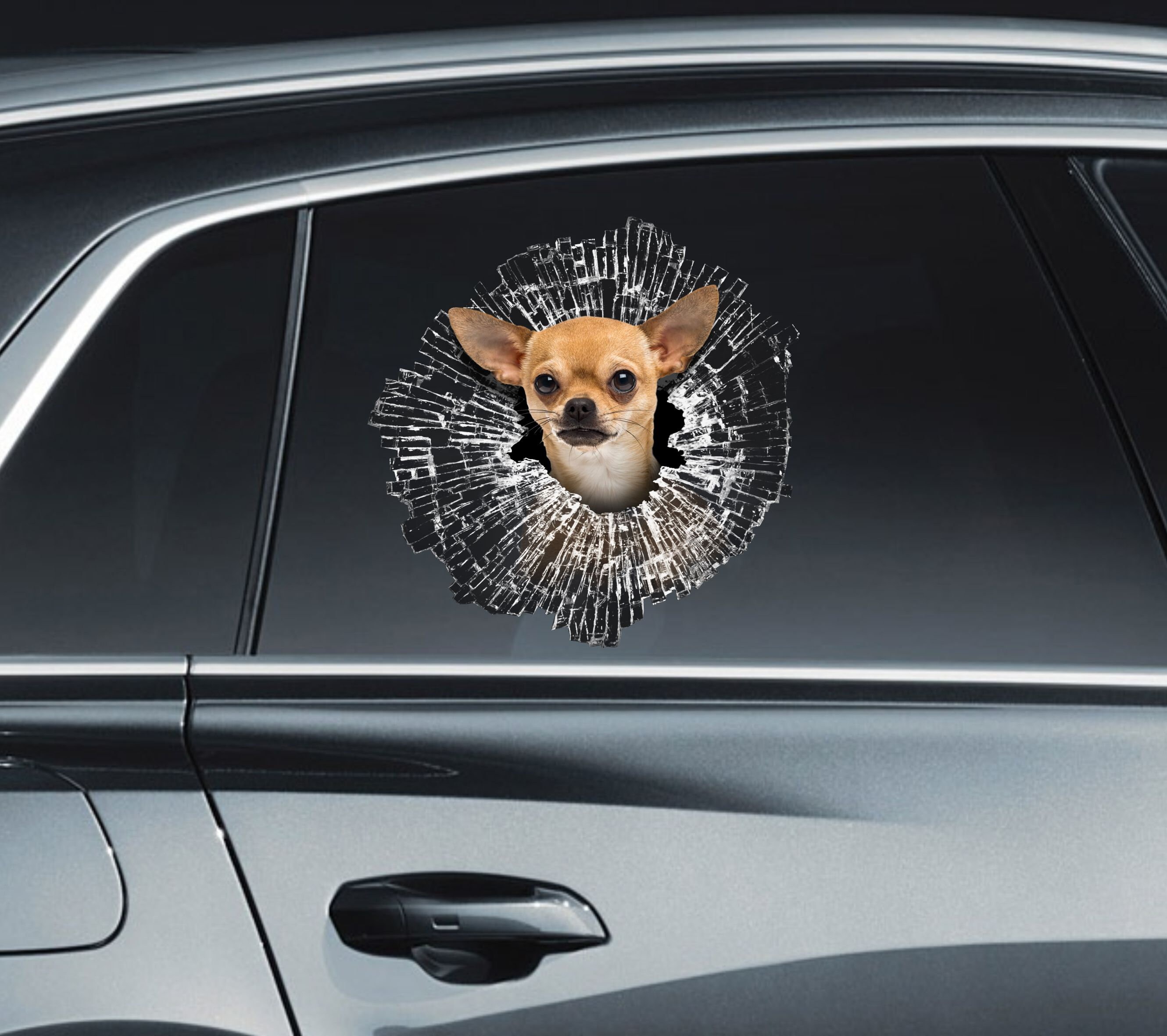 Aufkleber Auto, Personalisiert, Chihuahua, Hund, Car Sticker in Köln -  Köln Merheim, Tuning & Styling Anzeigen