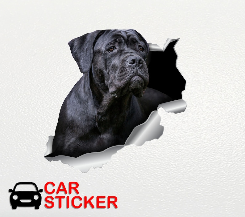 Cane Corso sticker Car dog stickers Pet sticker Cane Corso Etsy