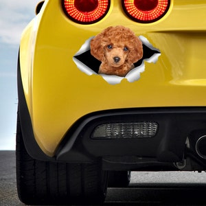 Toy Poodle sticker Toy Poodle car sticker Redhead poodle decal Toy Poodle decal Cute poodle Poodle Dog sticker Poodle lover Toy Poodle 330 image 4