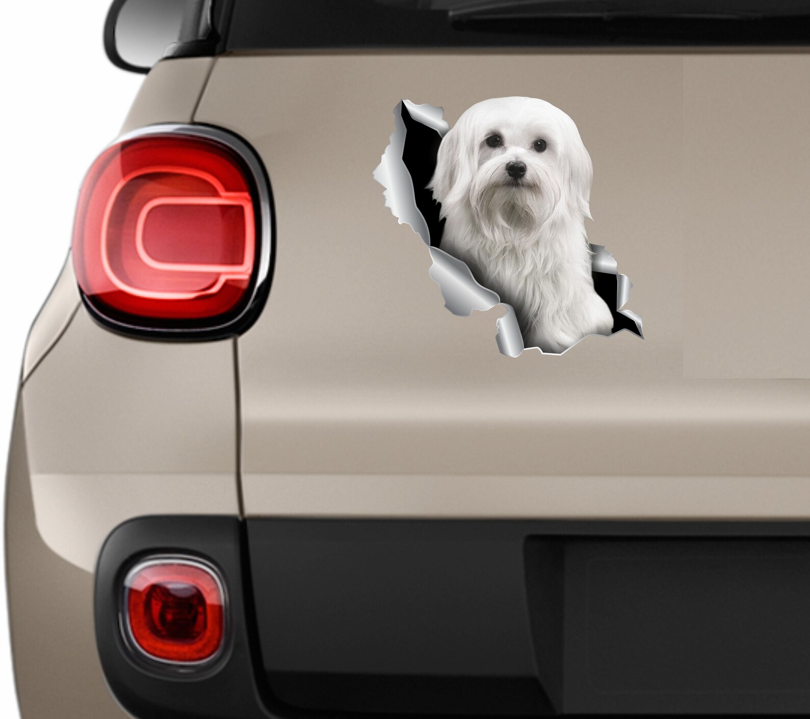 Car Sticker Maltese Sticker Dog Sticker Maltese Car Decal Etsy