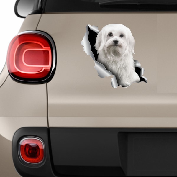 Car sticker Maltese sticker Dog sticker Maltese car decal Maltese decal Vinyl decal Maltese car sticker Dog lover decal White pretty dog 233