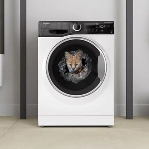 Puede incluir: Una lavadora blanca con una puerta negra y un panel de vidrio roto. Un gato mira a través del panel roto.