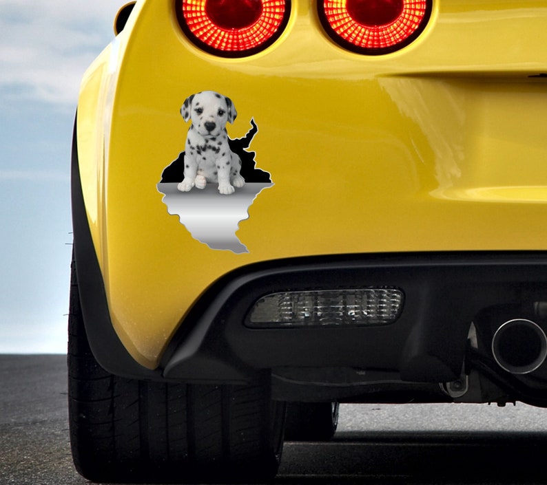 Dalmatian Car Sticker Dalmatian Decor Pet Decal Dog Decal Etsy