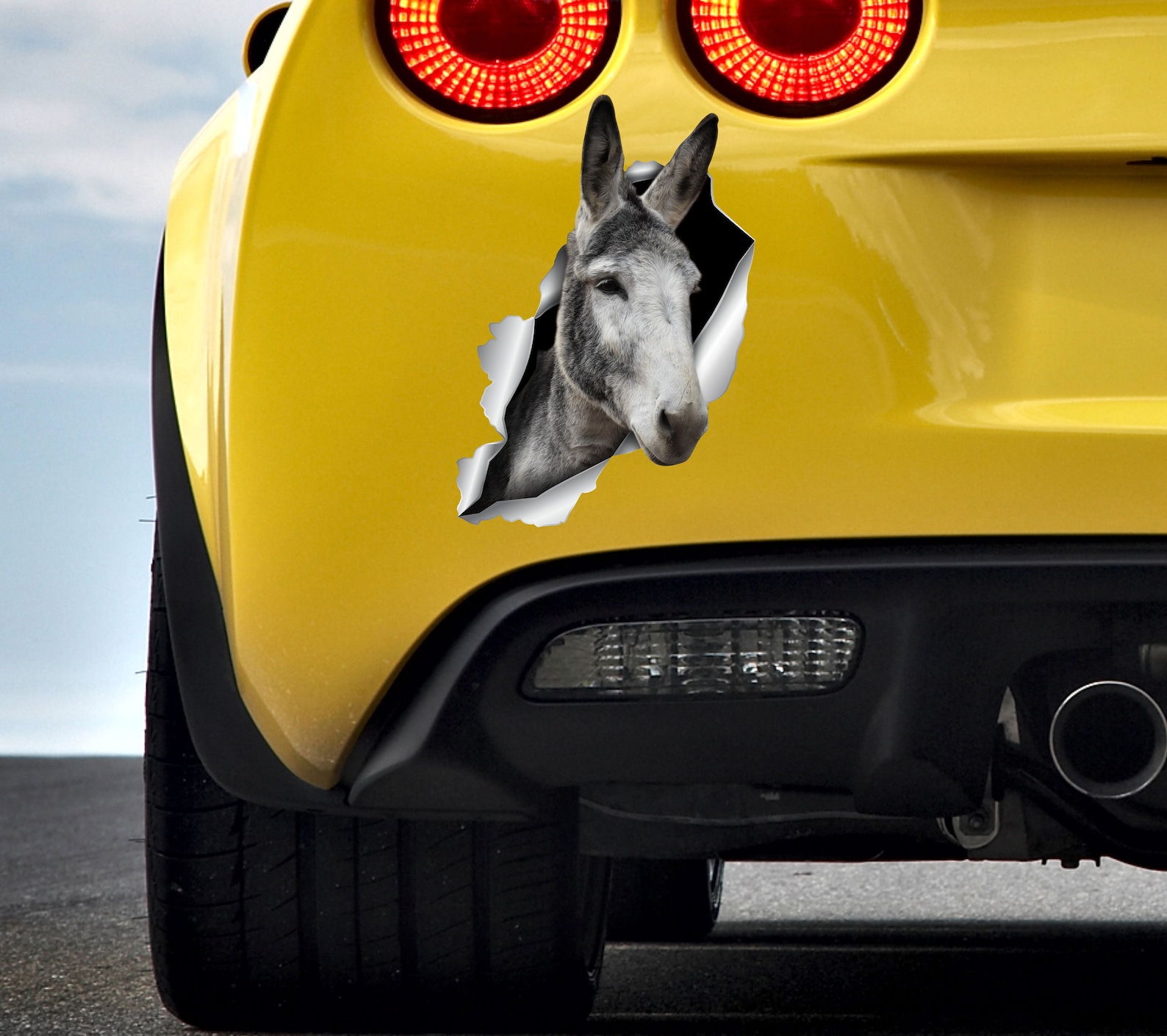 Donkey Car Sticker Donkey Sticker Bumper Stickers Farm Etsy