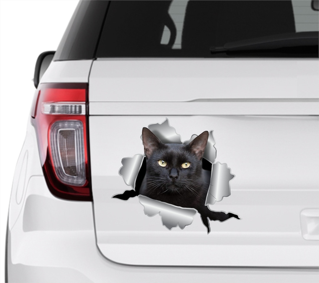 Black Cat Sticker Car Sticker Cat Stickers Dog Decals Black Etsy