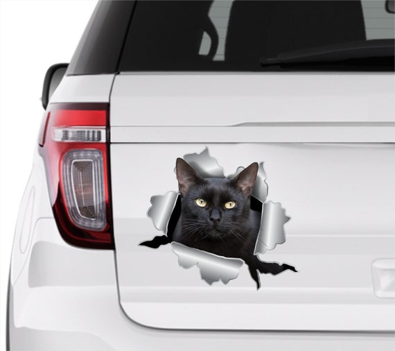 Set Di Adesivi Auto Con Gatto Bianco E Buchi, Per Coprire Graffi E Decorare Carrozzeria In Modo Carino