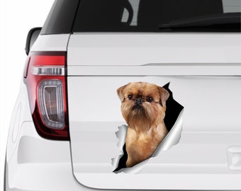 Peut inclure: Un autocollant de voiture représentant un chien Griffon Bruxellois semblant percer une surface blanche. Le chien a un pelage brun et une barbe distinctive. L'autocollant est conçu pour ressembler à une déchirure dans la surface du véhicule.