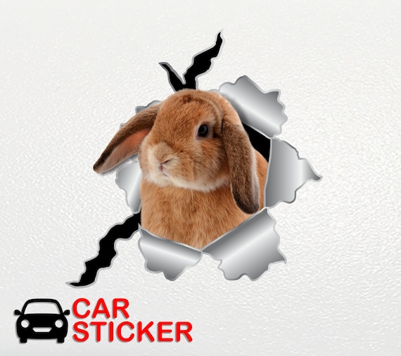 Car Window Sticker Nouiroy Crazy Rabbit Sticker For Cars,Double-Side ...
